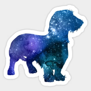 Wirehaired Dachshund Sticker